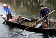 �L�����Ҽҡ������L�����������ӵ���