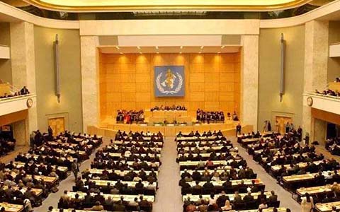 ���l(w��i)�M��