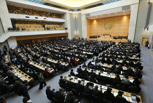 �_ý�w�˔���:�o"�Ŷ����R" �_���^�ղ���WHA��Ո��.jpg