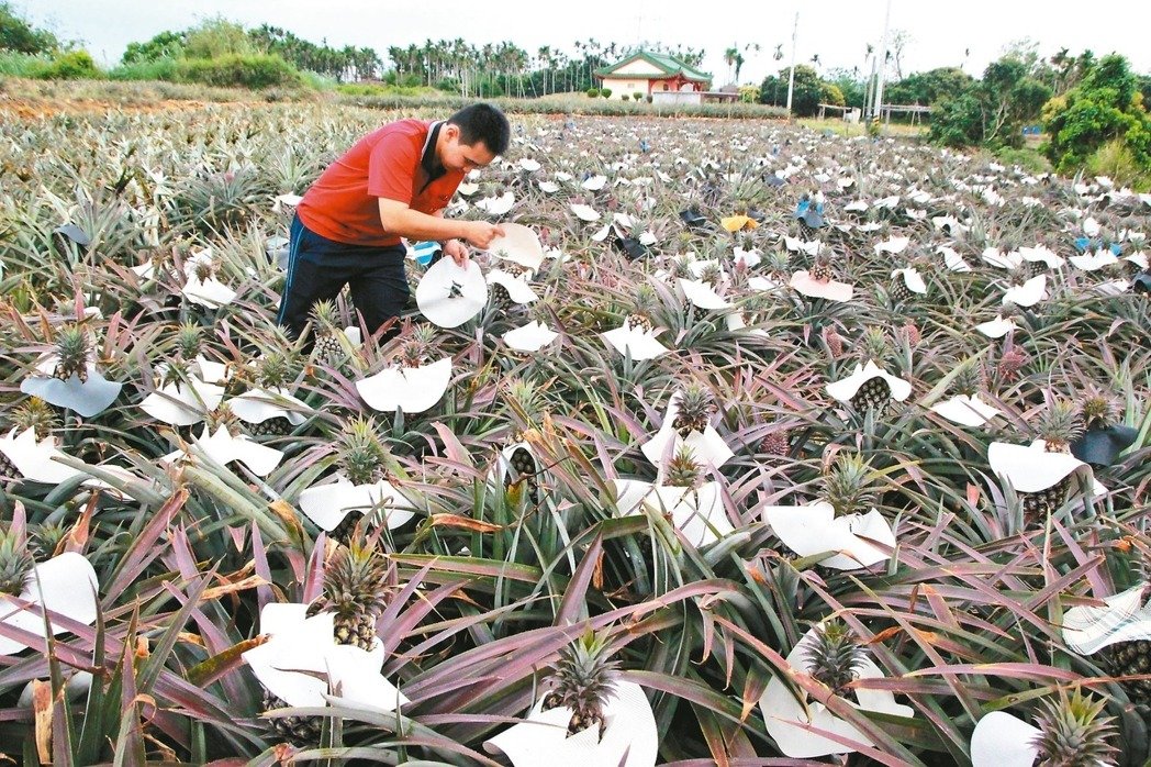 ����ο��J�p�؄��_�^��I �P���֘I�߰��f�I������