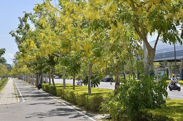 ���۵İ����՟���ʢ���С����_ý�D��