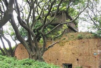 �҈@���ճ��_�l�֚������z�E �W�ߓ��n