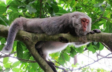 �_���֞鱣�o�r(n��ng)�������C���J�� ���������HЦԒ��