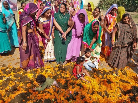 ӡ�ȹ�(ji��)��������y(t��ng)��׌����մţ�S����\(y��n)���D��